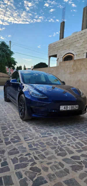 Tesla Model 3 Standard Plus 2019  تيسلا موديل 3 2019