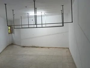 ‏سنوي ‏.‏ 60 م٢‏0