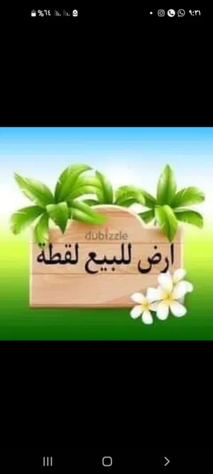 قطعه ارض للبيع في كينج مريوط الاسكندريه جمعية البنوك