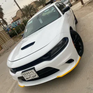 Ali Almosawy