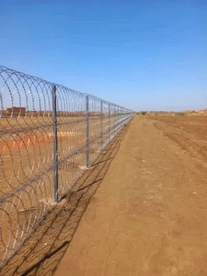أحمد عباس احمد 