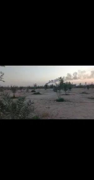 Farm Land for Sale in Basra Other