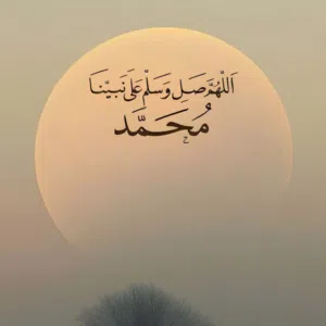 salim alsinani