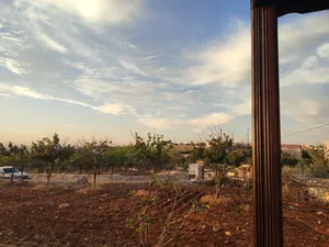 Residential Land for Sale in Amman Naour