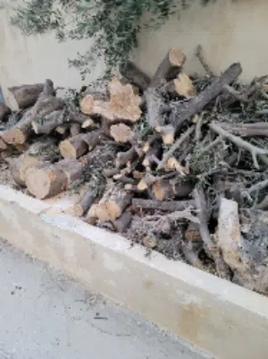 حطب كرامي طن وربع زيتون بلوط قص شجر