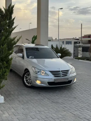 Genesis . Other . 2010 . New1