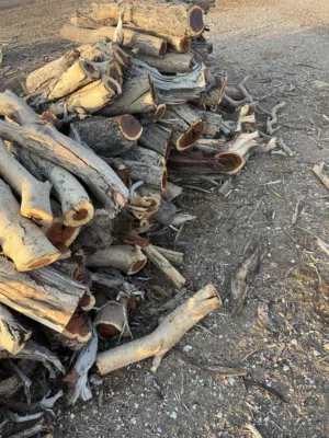 حطب سمر للبيع مقصص ومرتب للعيد مختلف لأحجام لتنور ولمشاكيك تريب بيكب غماره وحده