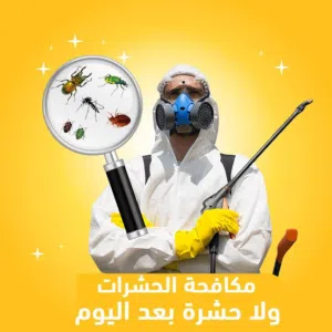 شركة تنظيف ومكافحة الحشرات بالرياض