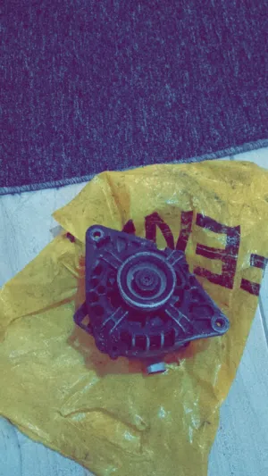 دينمو فيـرنا الاصـلي