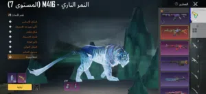 Pubg Accounts and Characters for Sale in Farwaniya