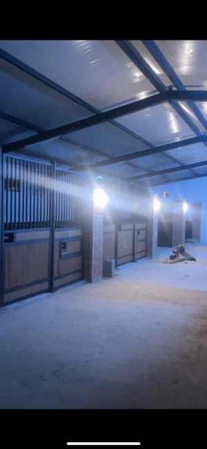 اسطبل خيول جديد للايجار في سلطنة عمان  New horse stable for rent in Oman