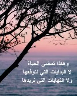 محمود ابو يحيى 