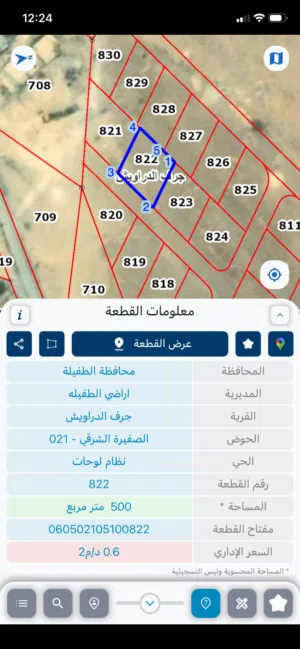 ارض في الطفيله للبيع