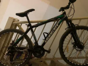 Morgan gear cycle 26”