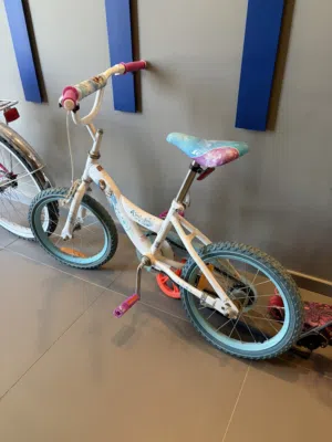 Elsa bicycle