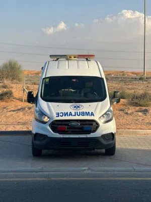 فورد ترنسبرت 2019 ديزل