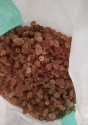 صمغ عربي هشاب حبة كبيرة الكيس 50 كيلو