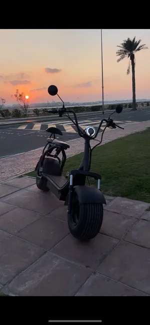 Electric Bicycles . New3