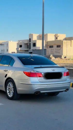 هولندي جنيسس ربي يبارك