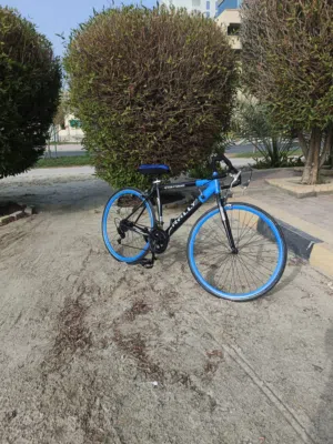 سيكل ريسس ايطالي