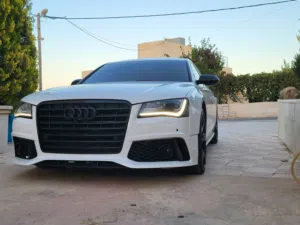 محمد حكم الرجوب 