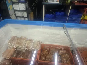 Freezers . Kelvinator . Used3