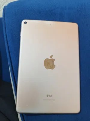 Apple iPad Mini 5 64 GB in Mafraq
