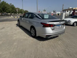 التيما s2019