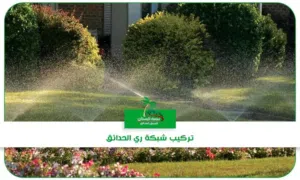 We are Professional Irrigation Services Providers.
