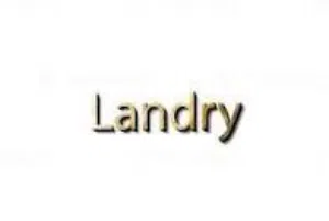 Laundry for sale in Riyadh