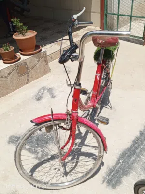 بسكليت نمره 24كوشوكه وكاله