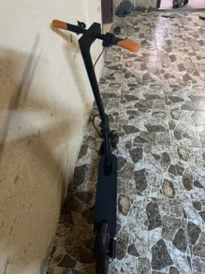 المنذر 