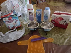 ادوات للكلاب