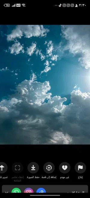 رضا اسعد 