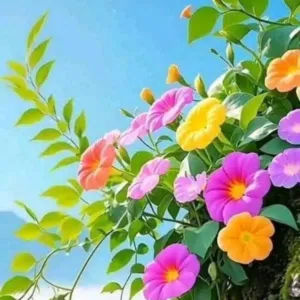 ابن البصره