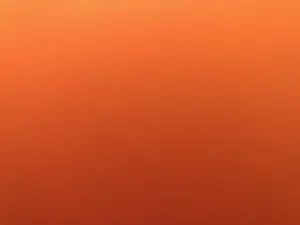 مطلوب كلب للتبني في الزرقاء