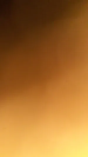 الهاشمي احمد العربي 