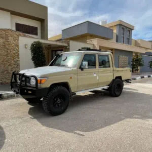 الشامخ 