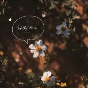 اماني الجمل 