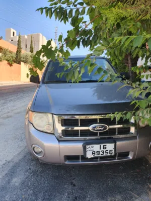 Used Ford Escape in Amman