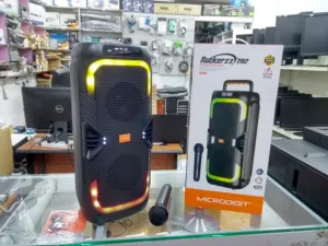 Powerful Karaoke Speaker – Only 15 BD