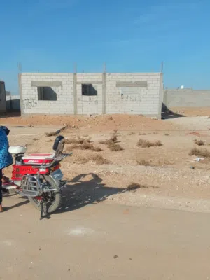 بيييين اللبييع