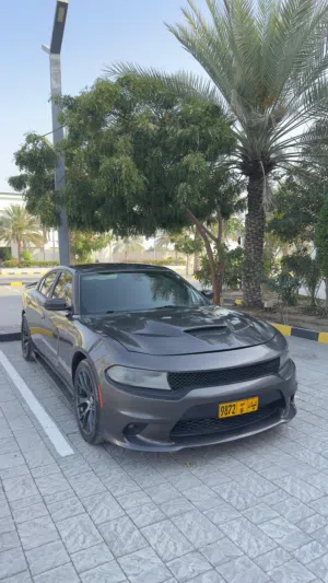 Used Dodge Charger in Muscat