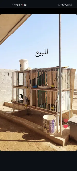 للبيع اقفاص حديد ينفع للدواجن و للحمام