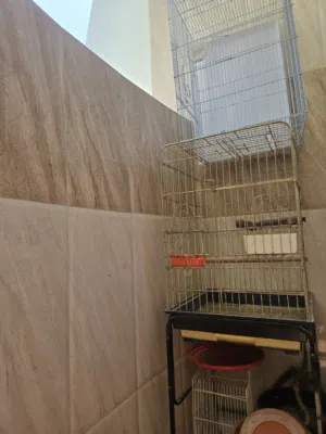 Birds cage for sale