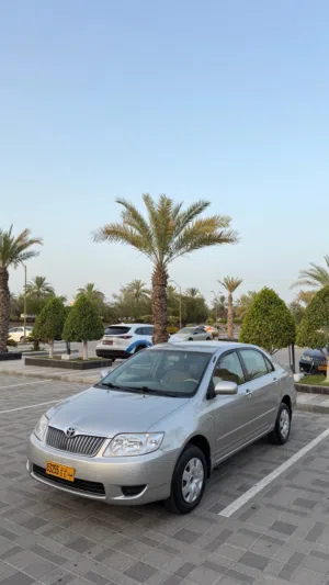 Used Toyota Corolla in Muscat