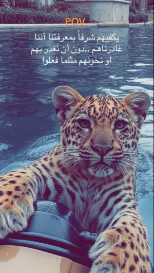 rawad 