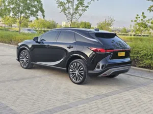 Used Lexus RX in Al Dakhiliya
