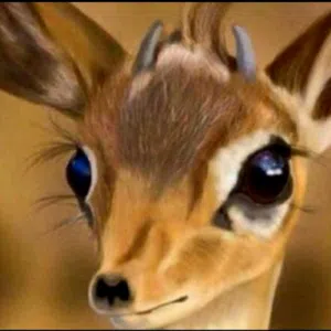 مزيون 