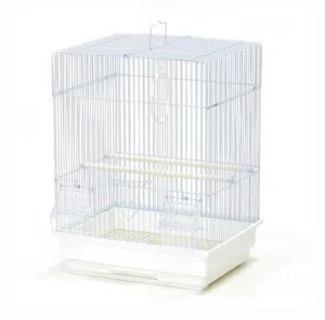 birds cage